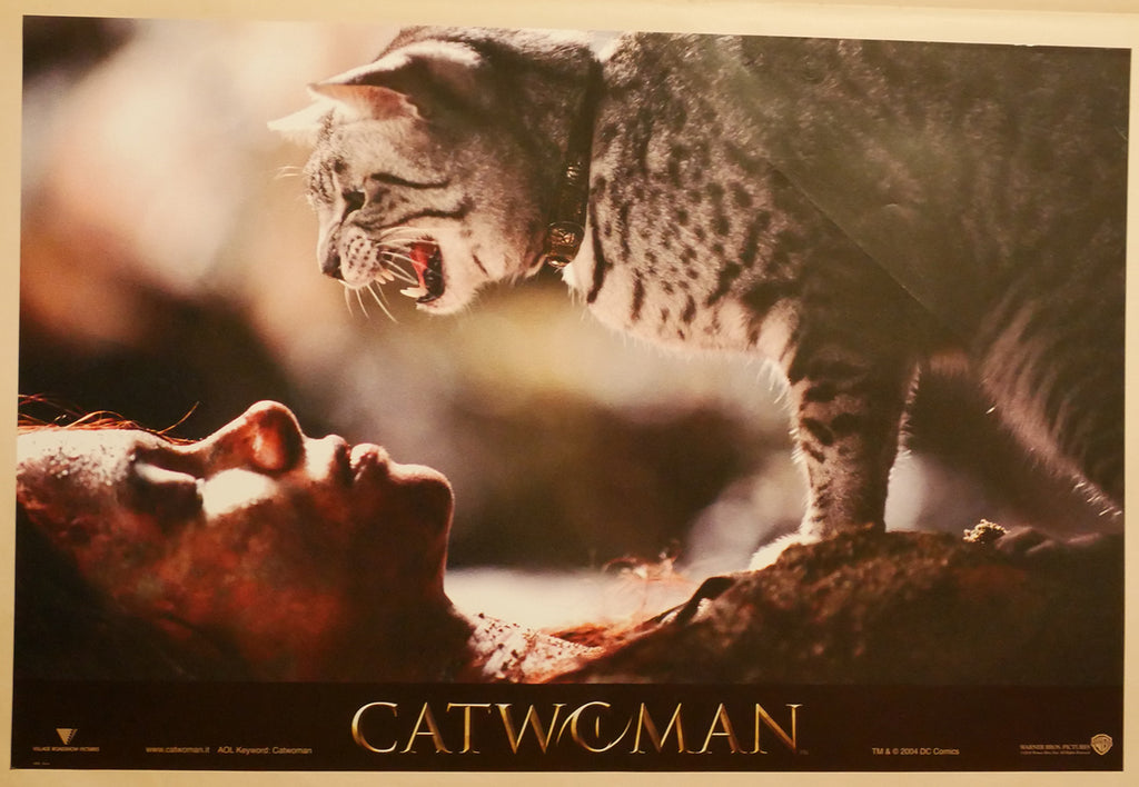 Halle Berry: Catwoman | Fotobusta Originale (set di 4)