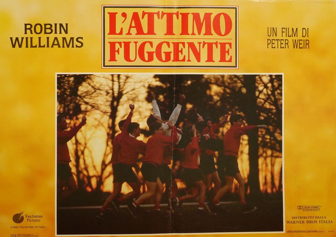 Robin Williams: L'attimo fuggente | Fotobusta Originale (set di 5)