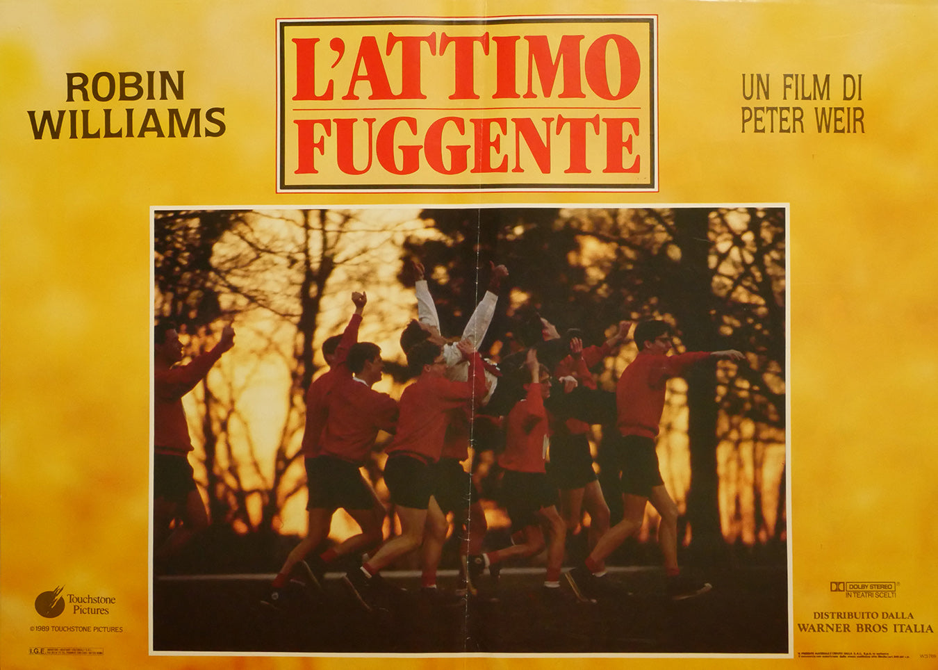 Robin Williams: L'attimo fuggente | Fotobusta Originale (set di 5)