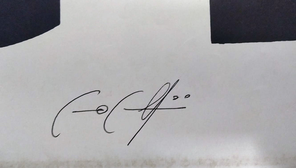 Chi c’è c’è | Manifesto 2 Fogli Originale Autografato da Cecco Cecchini