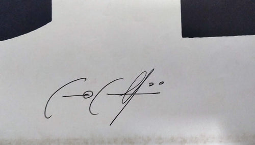 Chi c’è c’è | Manifesto 2 Fogli Originale Autografato da Cecco Cecchini